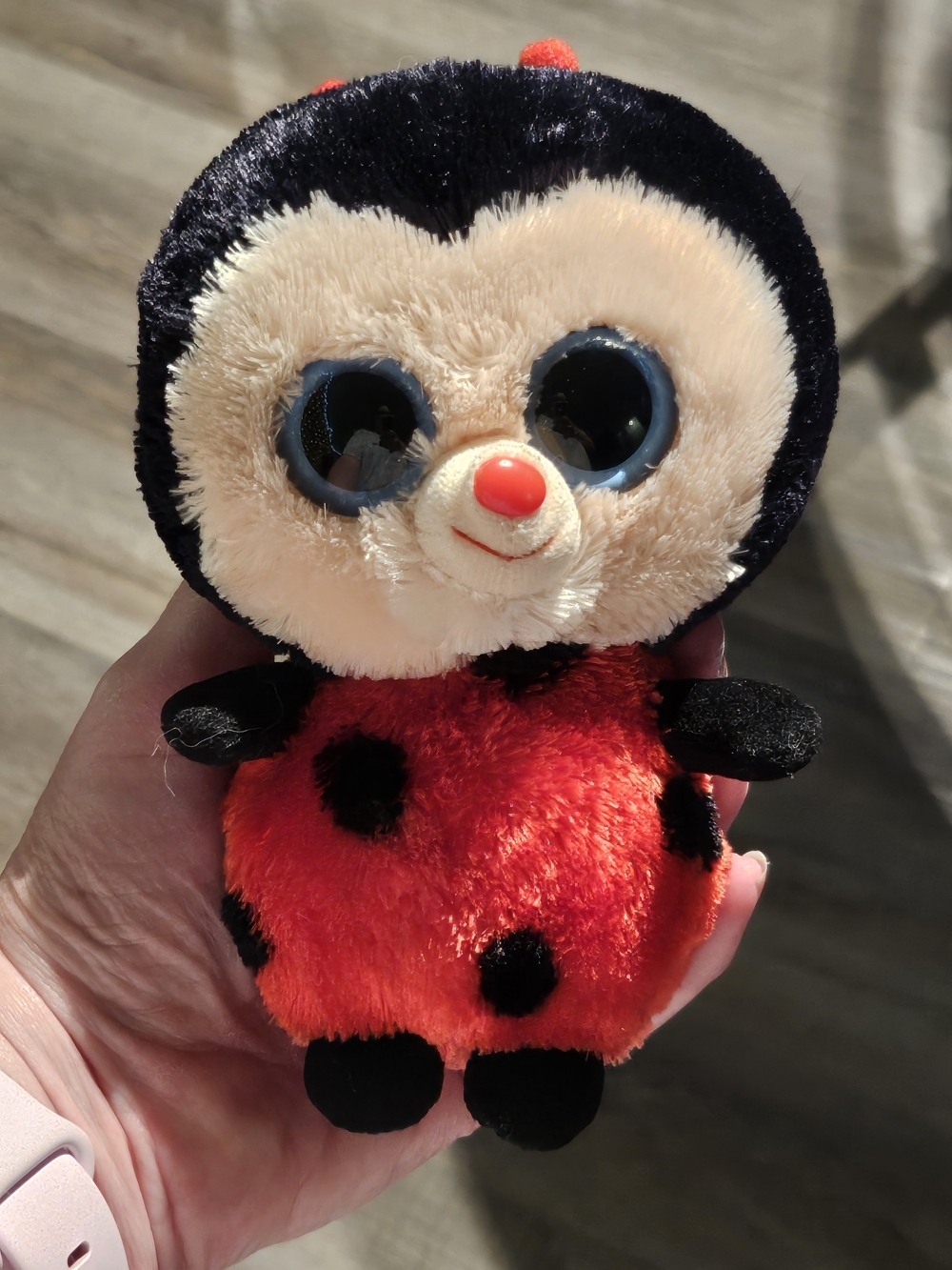 Ty Red and Black Ladybug Plush - Bugsy